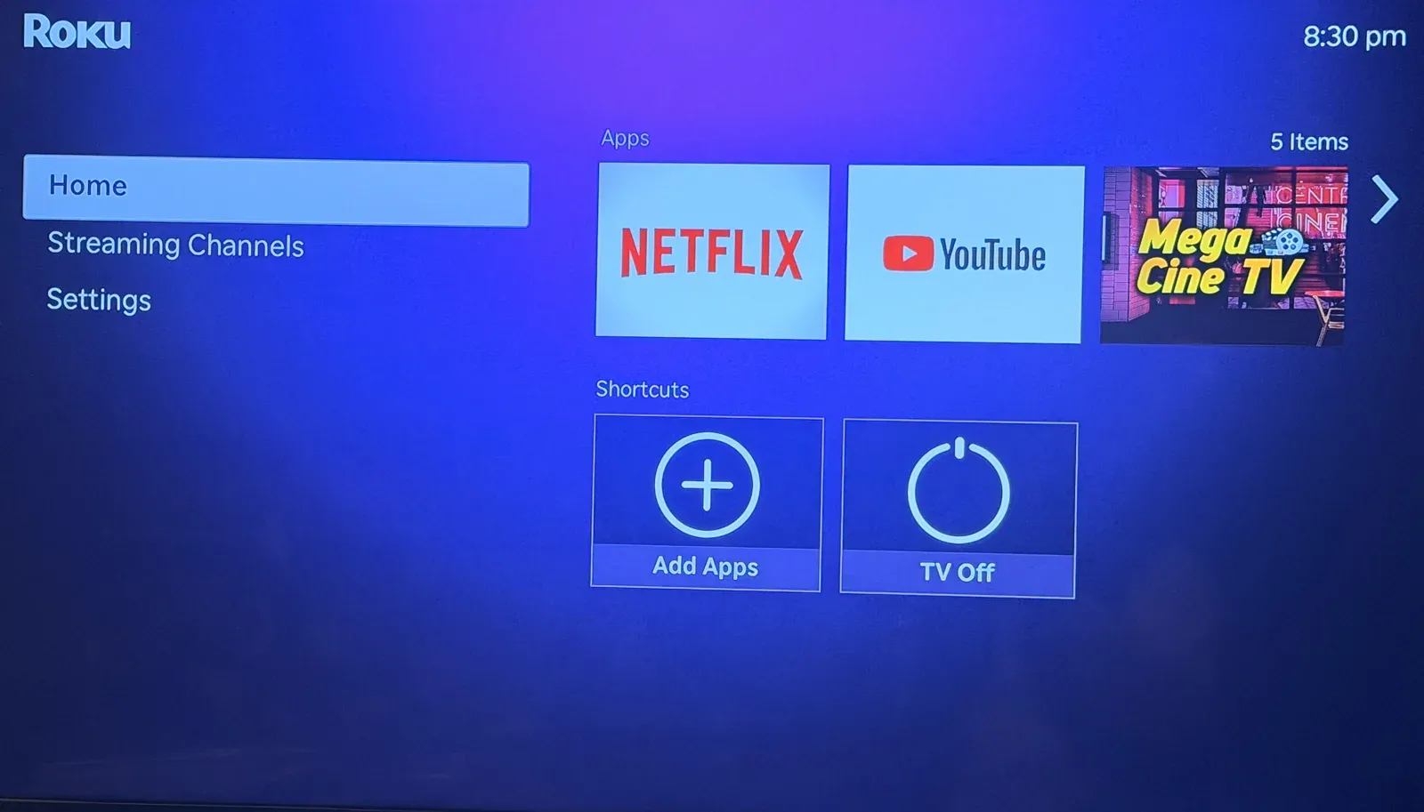 Roku TV home screen with Home, Streaming Channels and Settings menu